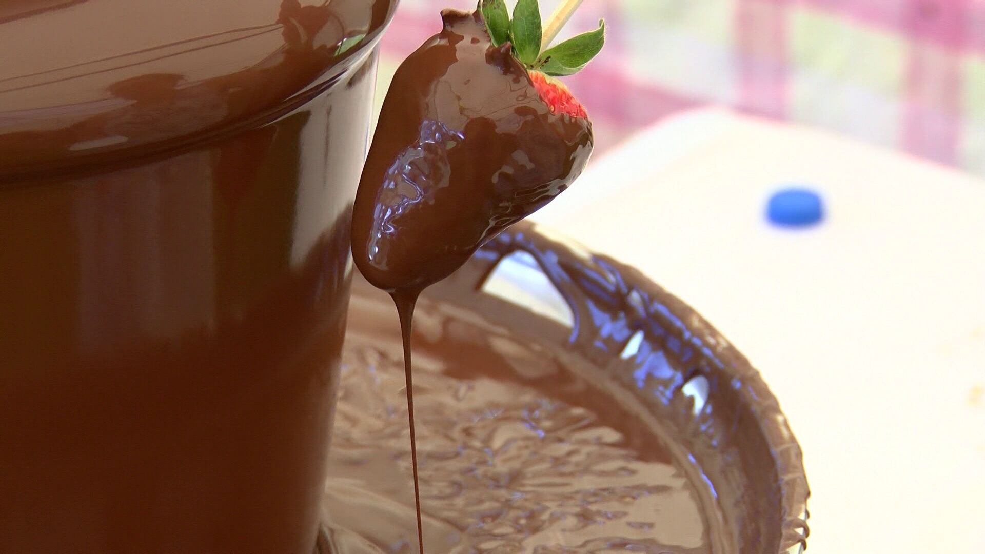 Paradise Chocolate Fest